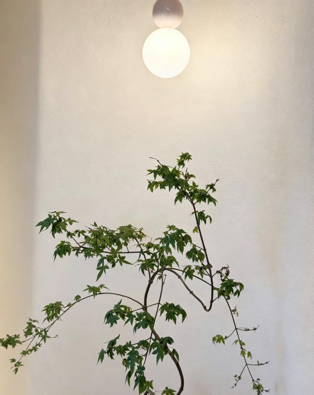 补水保湿 · 水光肌